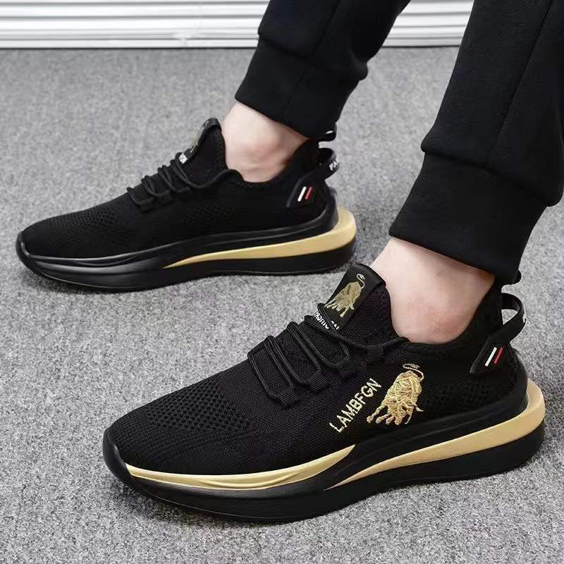 New spring, summer, autumn, Korean boys' low top, soft bottom, trendy board shoes, lace up in front of the net, men's casual shoes