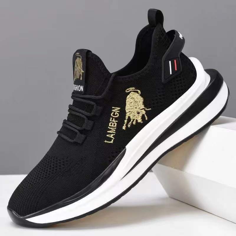 New spring, summer, autumn, Korean boys' low top, soft bottom, trendy board shoes, lace up in front of the net, men's casual shoes